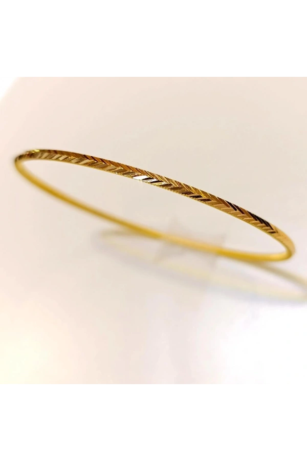 22 Ayar 10gr Başak Ajda İşçiliksiz Bilezik