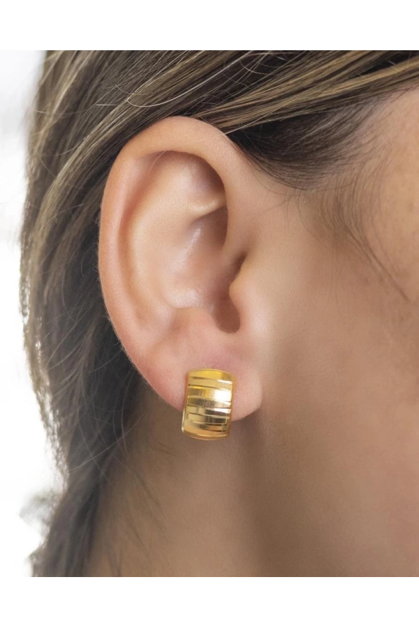 Yiğitbaşı Gold 22 Ayar Küpe