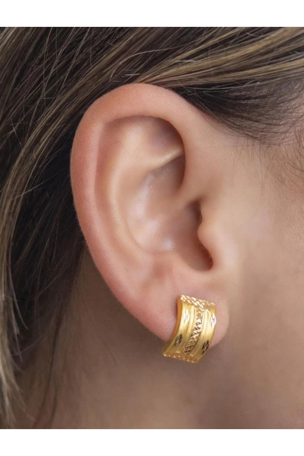 Yiğitbaşı Gold 22 Ayar Küpe (3324)