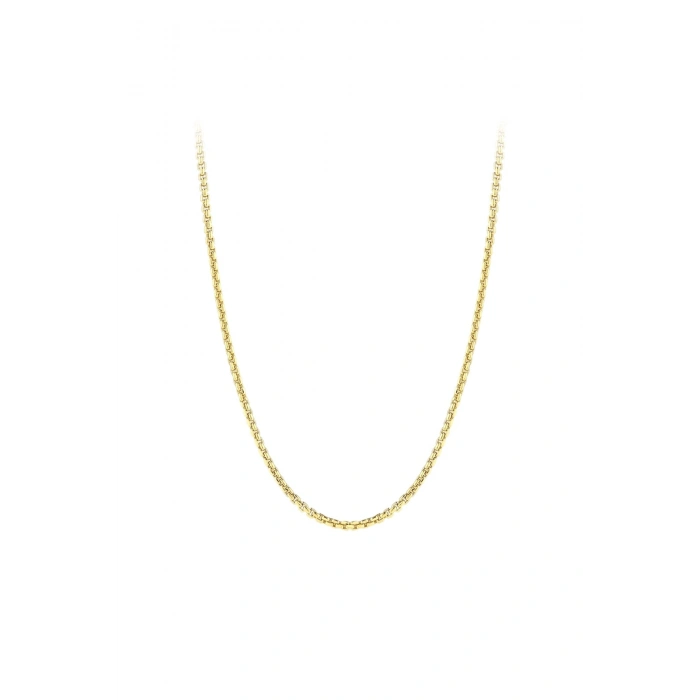 Altın Zincir Kolye - 14K