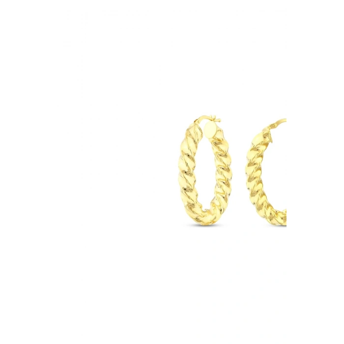 Altın Burgu Halka Küpe - 14K
