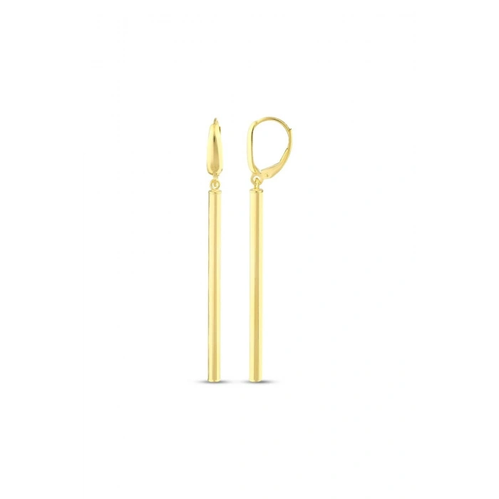 Altın Sallantılı Tasarım Küpe - 14K