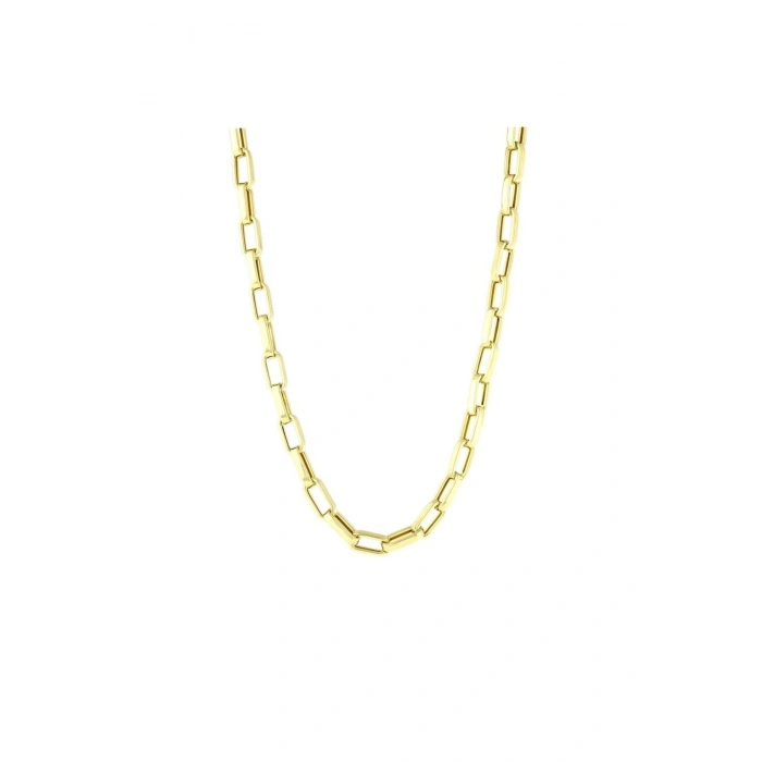Altın Ataç Zincir Kolye - 14K