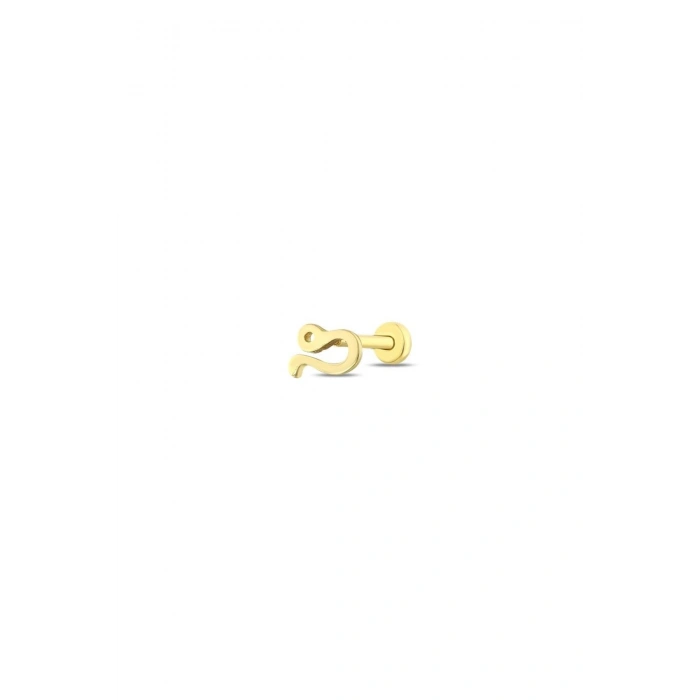 Altın Burç Aslan Tragus Piercing - 14K