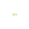 Altın Burç Aslan Tragus Piercing - 14K